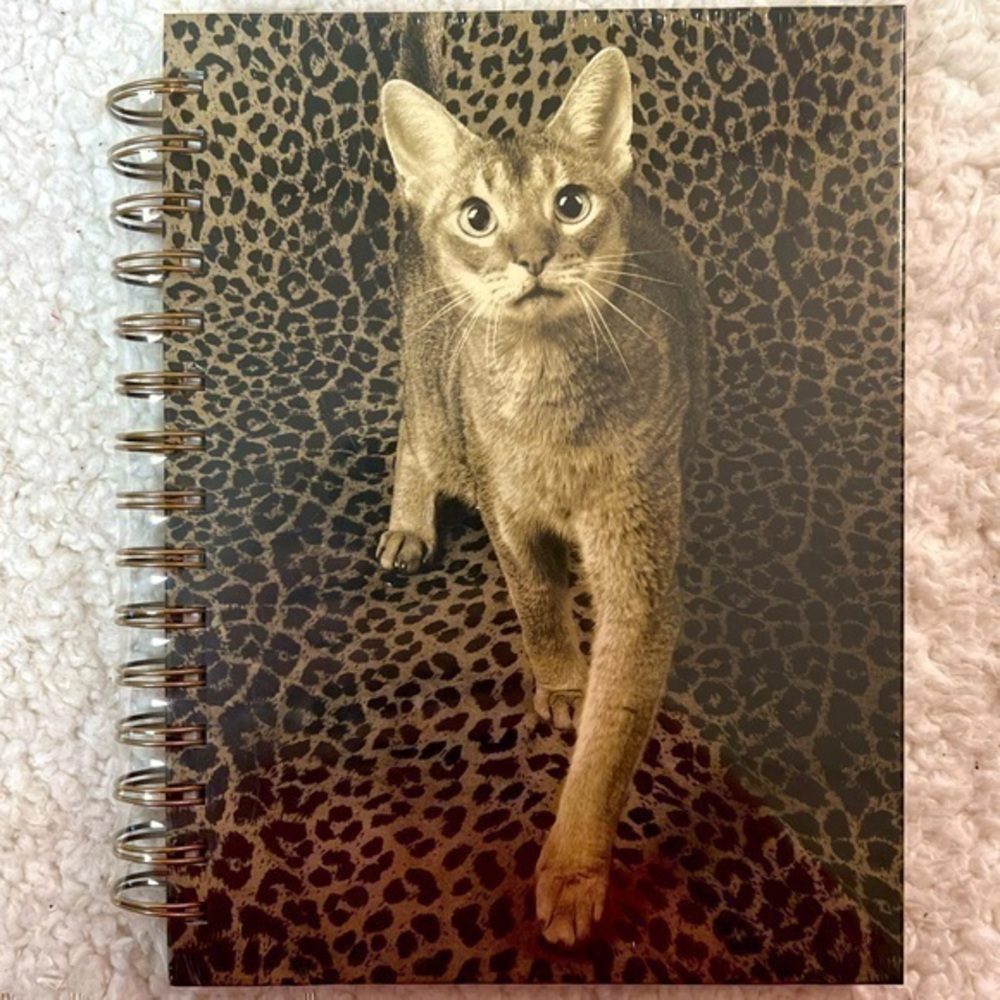 ☀️2/$14☀️Potter Style "Cats" Lined Spiral Bound Journal Notebook